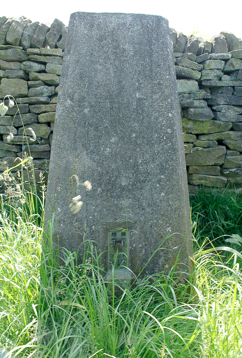 Calton Pastures trig Calton Pastures trig